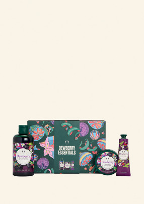 Cofre Mediano Dewberry