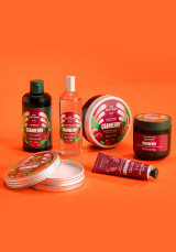 Cofre Deluxe Cranberry