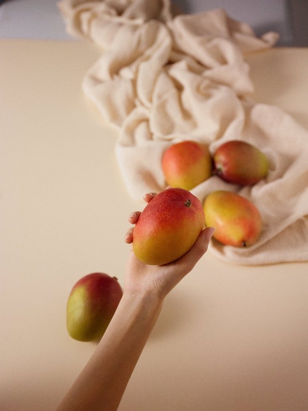 Hand holding a mango Hand holding a mango