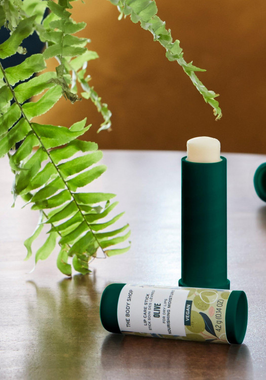 Stick Labial de Oliva 4.2 g