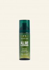 Spray Fijador All Day Long 100 ml
