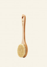 Cepillo De Cactus Con Mango Largo