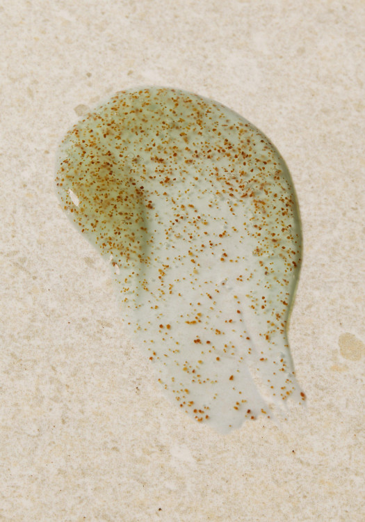 Exfoliante de Algas 125 ml