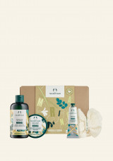 Cofre Regalo Mediano Moringa