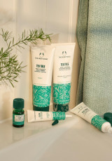 Gel Anti imperfecciones Árbol de Té 15 ml Gel Anti imperfecciones Árbol de Té 15 ml