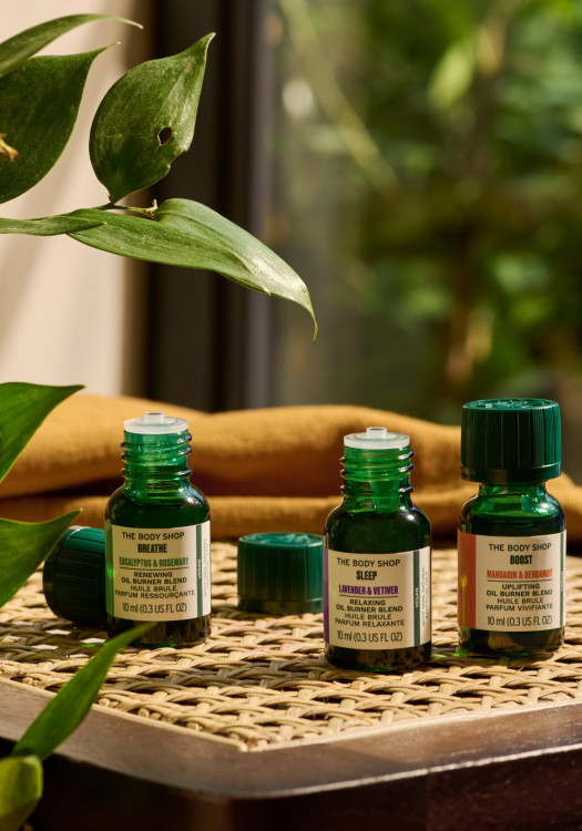 Breathe Eucalipto y Romero Aceite Quemador Relajante 10 ml