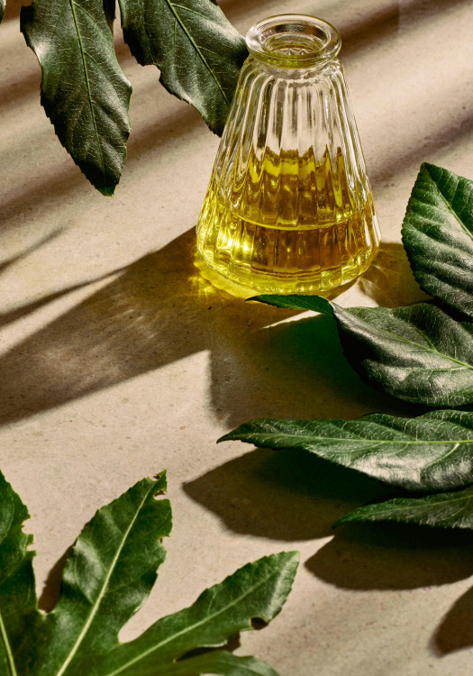 Crema de Manos de Cáñamo 30 ml Crema de Manos de Cáñamo 30 ml