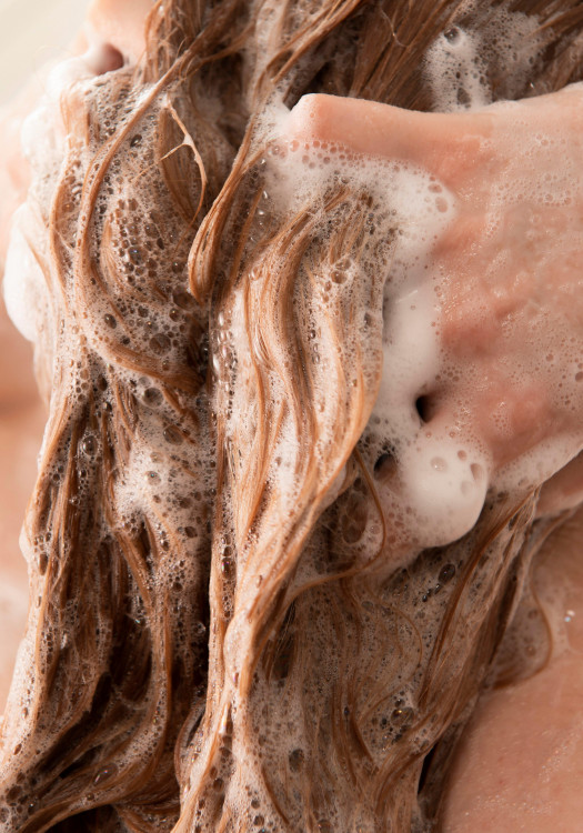 Champú de Moringa Brillo y Protección 250 ml