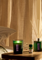 Sleep Lavanda y Vetiver Aceite Quemador Relajante 10 ml