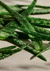 Desodorante Roll On De Aloe 50 ml