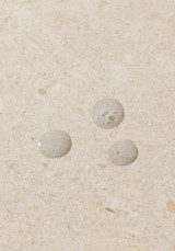 Tónico de Algas 250 ml