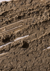 Mascarilla Reductora de Poros de Carbón del Himalaya