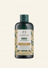 Champú Anticaspa de Jengibre 250 ml Champú Anticaspa de Jengibre 250 ml